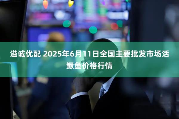 溢诚优配 2025年6月11日全国主要批发市场活鳜鱼价格行情