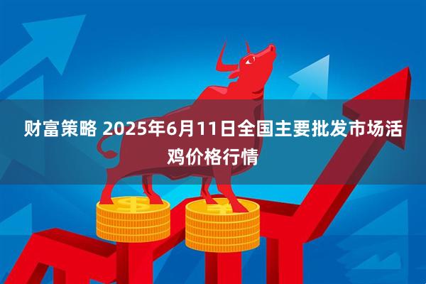 财富策略 2025年6月11日全国主要批发市场活鸡价格行情