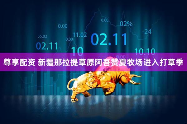 尊享配资 新疆那拉提草原阿吾赞夏牧场进入打草季